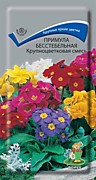 Примула Смесь крупноцветковая 0,04гр