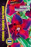 Адениум Kaleidoscope 3шт Редкие овощи