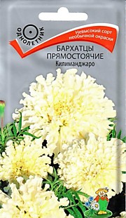 Бархатцы Килиманджаро прям. 0,1гр