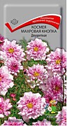 Космея Махр. кнопка двухцветная 0,1гр