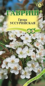 Груша Усурийская 0,3гр  Г