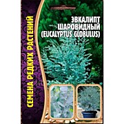 Эвкалипт Шаровидный 10шт Редкие овощи